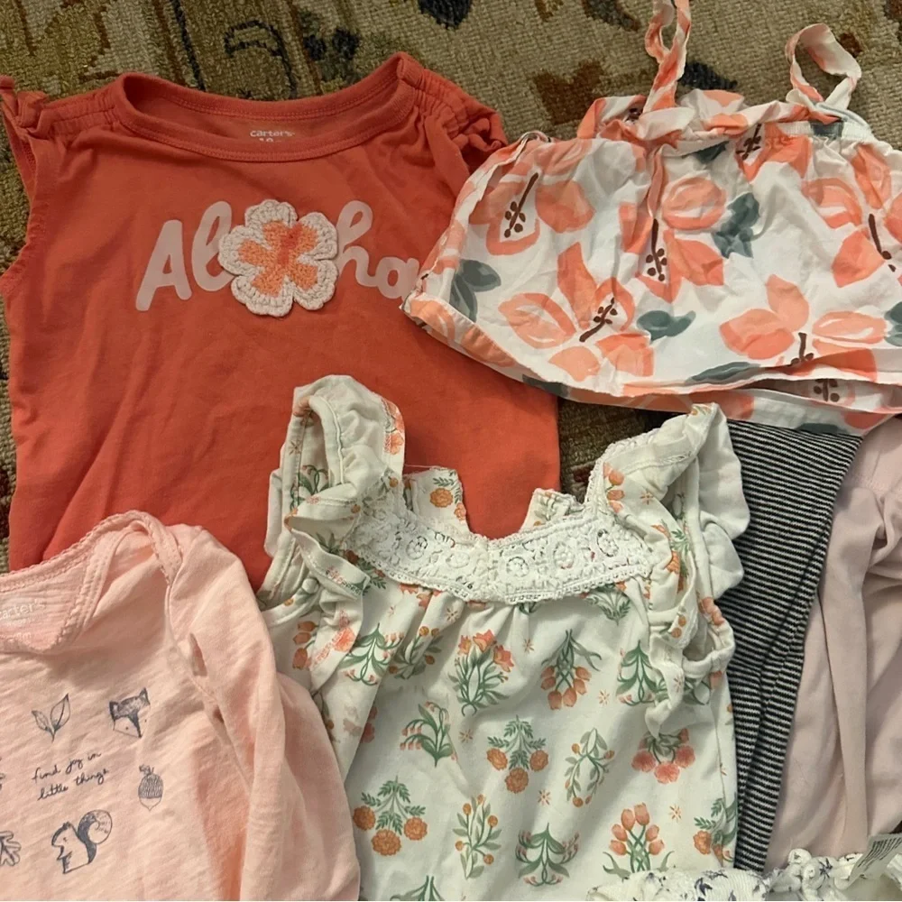 Carters Girls Pink Bundle sz 18 MO
